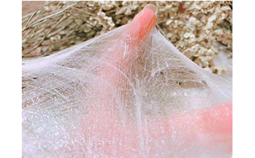 怎樣去辨別蠶絲面膜的真假？